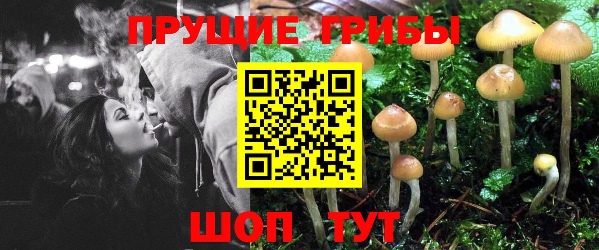 Псилоцибиновые грибы мухоморы Киселёвск