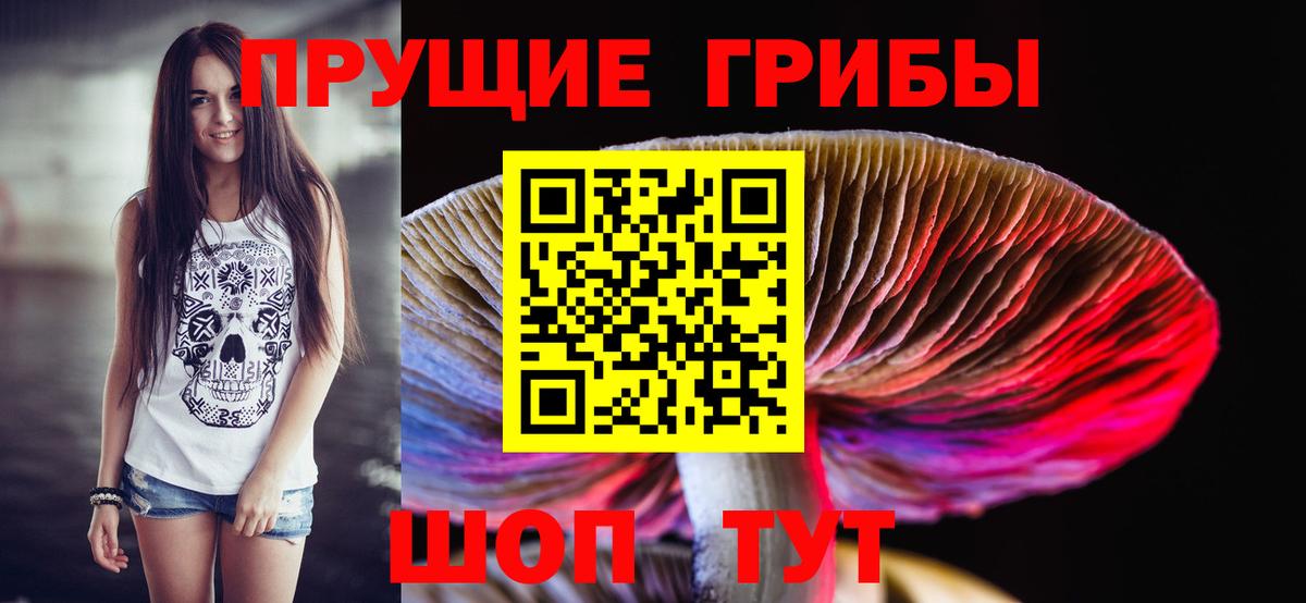 Киселёвск  Галлюциногенные грибы GOLDEN TEACHER  Вход с VPN 